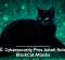 U.S. Cybersecurity Pros Admit Role in BlackCat Attacks